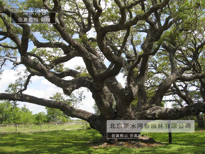 仿真樹為新農(nóng)村建設出一份力-北京淡水河谷仿真樹