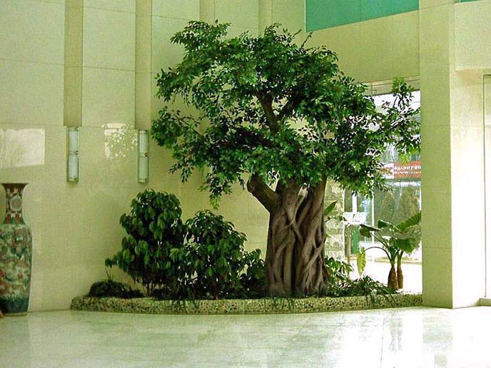 北京仿真榕樹廠家，專業(yè)制作高端仿真榕樹的廠家
