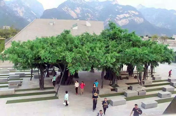 大型仿真榕樹(shù)廠家為您制作各種國(guó)際頂尖水準(zhǔn)的高端仿真樹(shù)