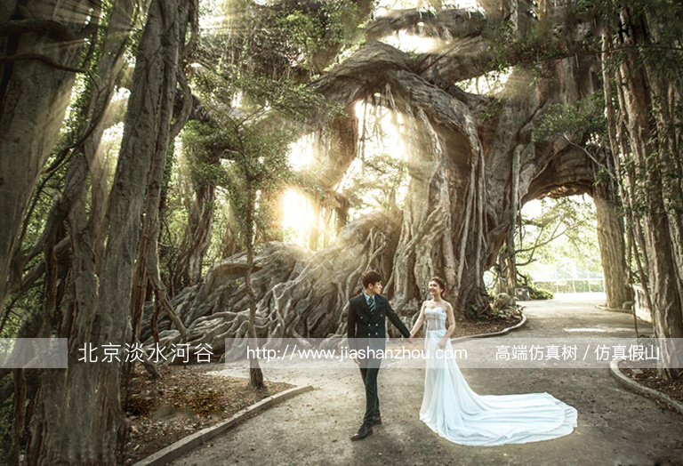 蒙娜麗莎室內(nèi)綠色風(fēng)情婚紗攝影仿真樹設(shè)計-北京圣園工程