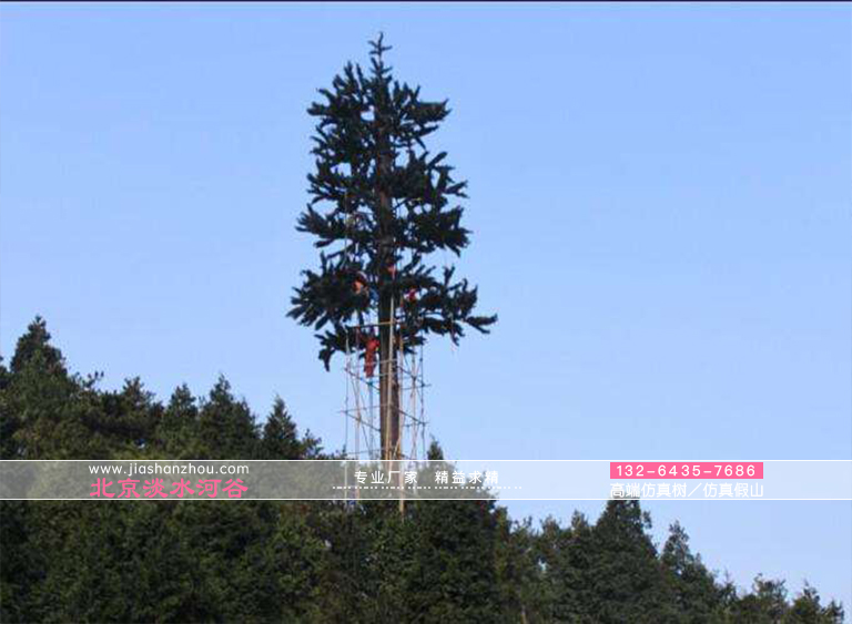 避雷針樹和樹形避雷針是現(xiàn)在景區(qū)的標(biāo)準(zhǔn)配置