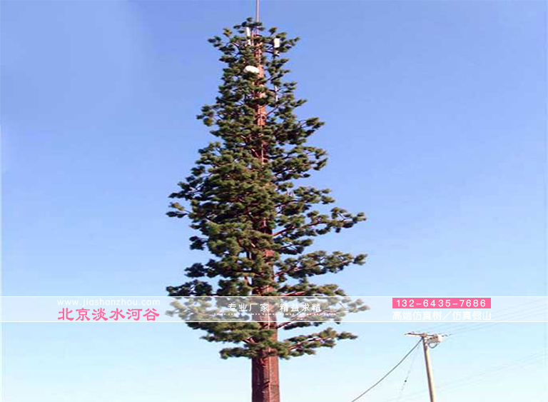 避雷仿真樹的真實(shí)身份是“避雷針”能保障游客安全