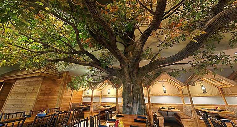 國外很多的博物館假樹都是中國這家公司制作的設(shè)計(jì)安裝