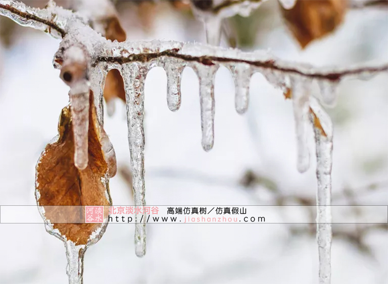 處理冰雪災(zāi)害天氣下的仿真樹景觀的6個(gè)技巧