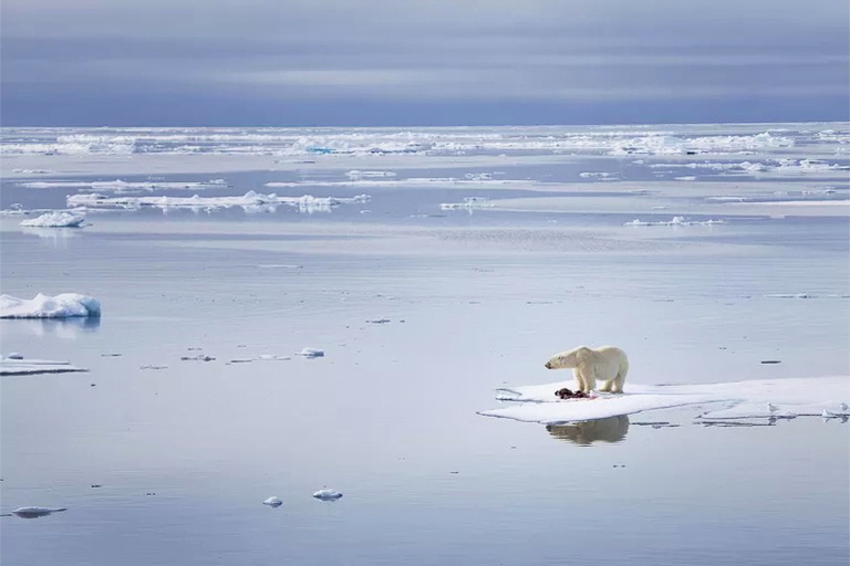 全球變暖有什么好處？即使是佳方案缺點也勝過任何可能的優(yōu)點