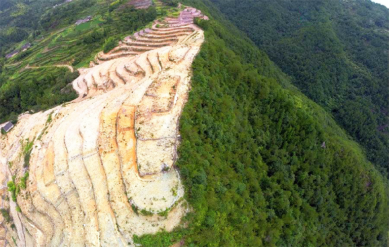 什么是森林砍伐？毀林是一個(gè)日益嚴(yán)重的全球性問題