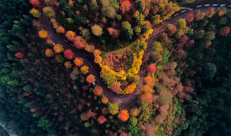 森林調查方法-使用指南針和鏈條重建森林邊界