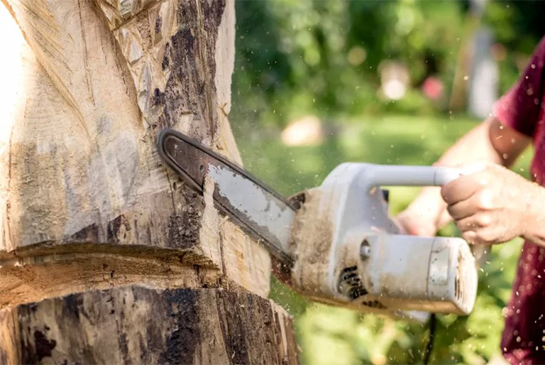 重要電鋸安全信息和技能-為了在樹(shù)林中安全地工作（一）