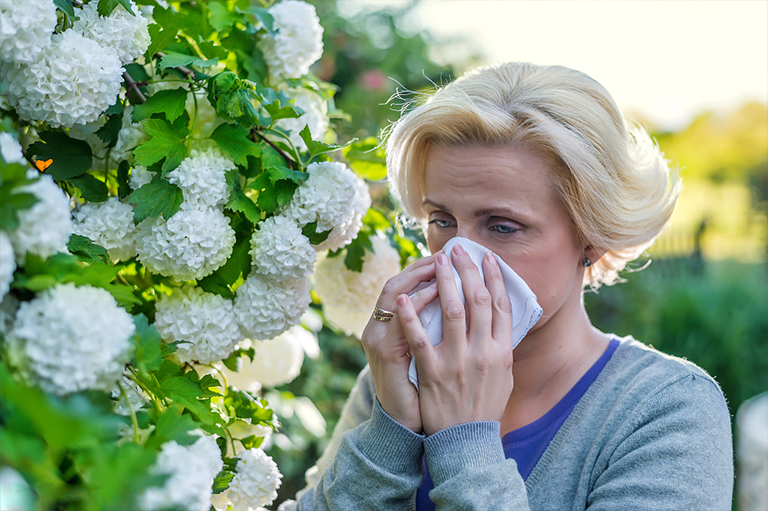 哪些類型的花粉樹(shù)引起過(guò)敏-您可以和他們一起生活的花粉生產(chǎn)者