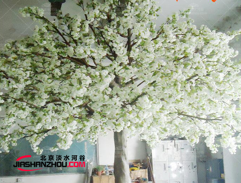 這個仿真樹流蘇樹廠家制作世界著名觀賞性仿真樹國內(nèi)外皆有施工