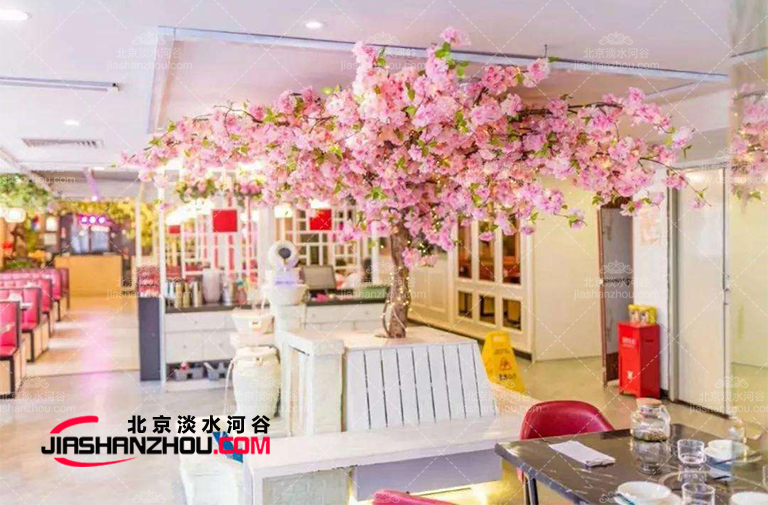 如何管理和維護(hù)毛泡桐樹(shù)-仿真樹(shù)廠家溫馨提示