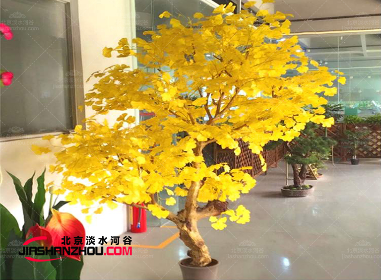 要么不做要做就做優(yōu)質(zhì)精品仿真樹(shù)這家廠家靠譜