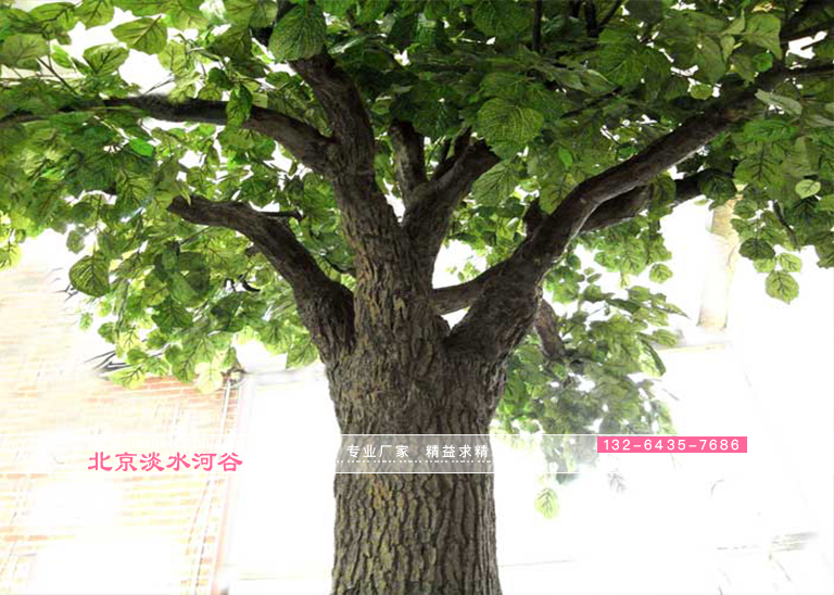 擴(kuò)大仿真樹(shù)美化業(yè)務(wù)時(shí)的10個(gè)財(cái)務(wù)錯(cuò)誤