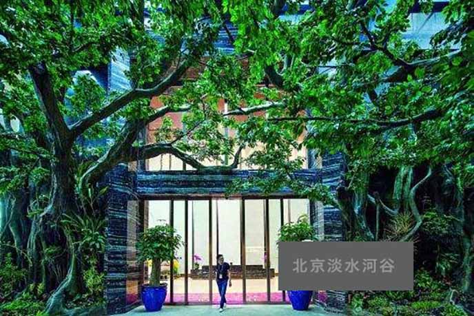 仿真榕樹高級(jí)品牌是這家公司