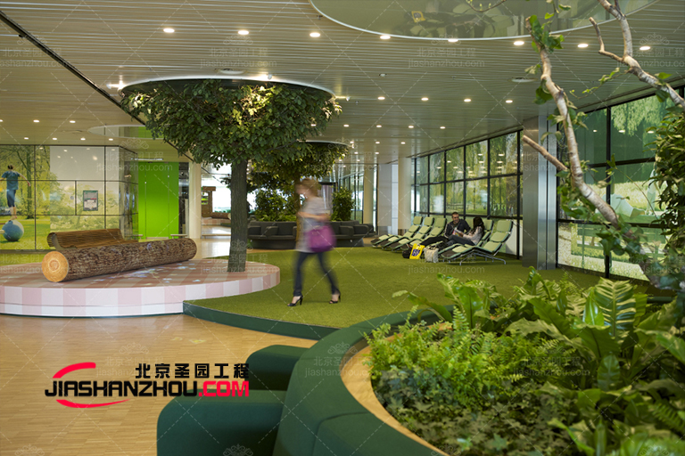 河北仿真樹廠家專業(yè)生產(chǎn)各種系列室內(nèi)外仿真樹