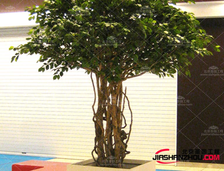 現(xiàn)在需要仿真樹(shù)是如此的讓城市煥發(fā)出生機(jī)適用于多樣化場(chǎng)景