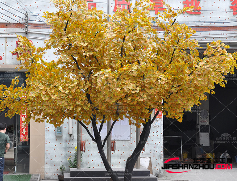 仿真樹需要考慮植物的適應環(huán)境，包括光照、溫度、濕度等因素