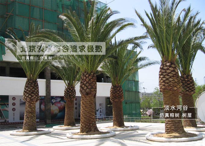 廣西仿真樹生產(chǎn)定制 打造恰到好處的自然風(fēng)光