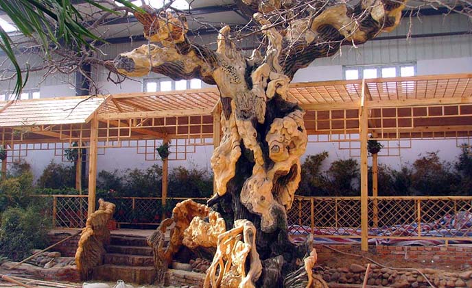 仿真樹(shù)榕樹(shù)