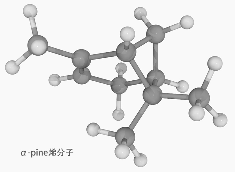 仿真樹(shù)