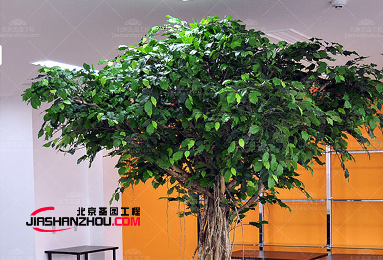 仿真樹(shù)