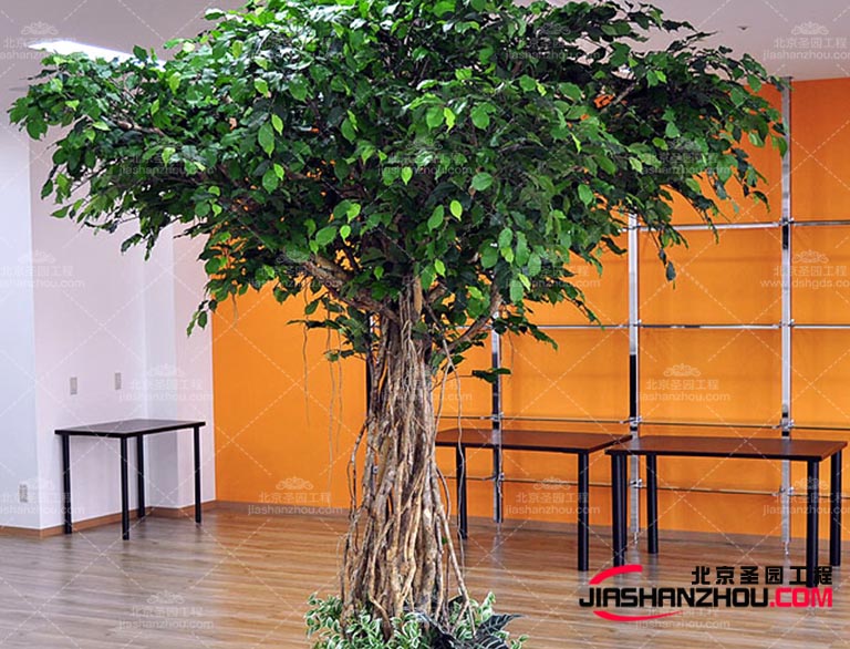 仿真樹.jpg 仿真樹